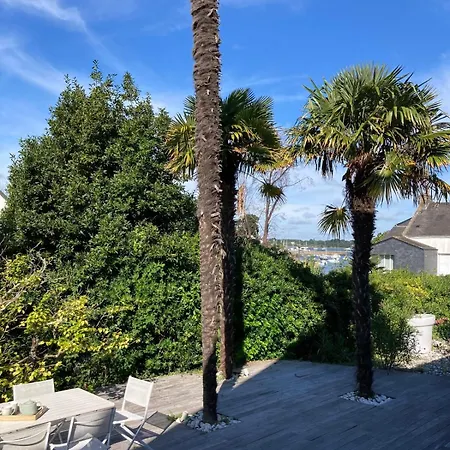 Pause Sous Les Palmiers -